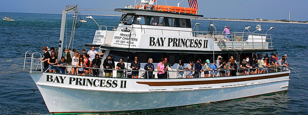 Bay Princess II